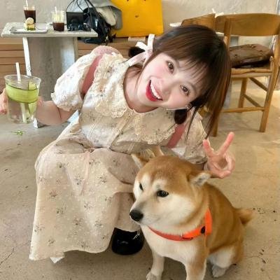 当哈利遇到莎莉