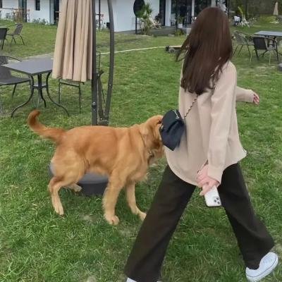黑袍纠察队第三季